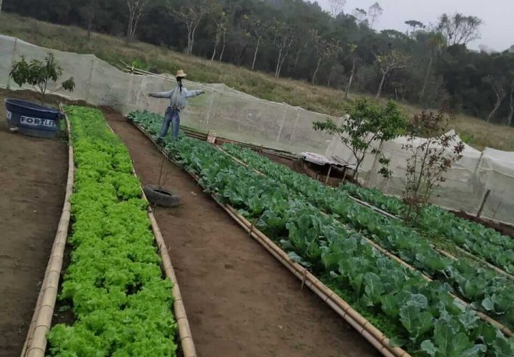 WhatsApp Image 2024-09-27 at 11.15.55