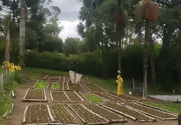 WhatsApp Image 2024-09-27 at 11.18.40 (2)