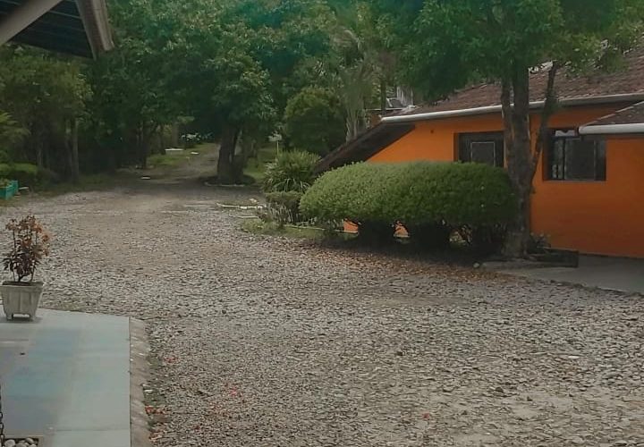 WhatsApp Image 2024-09-27 at 11.18.46 (3)