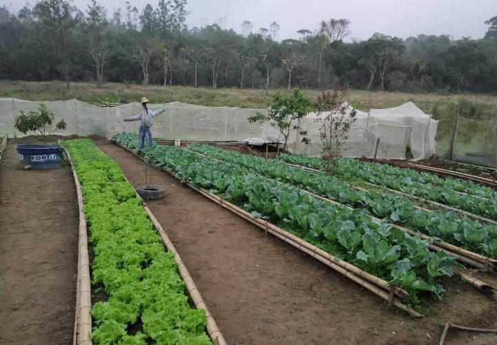 WhatsApp Image 2024-09-27 at 11.27.08 (3)