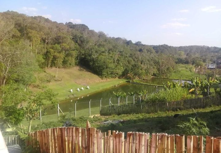 WhatsApp Image 2024-09-27 at 11.27.08